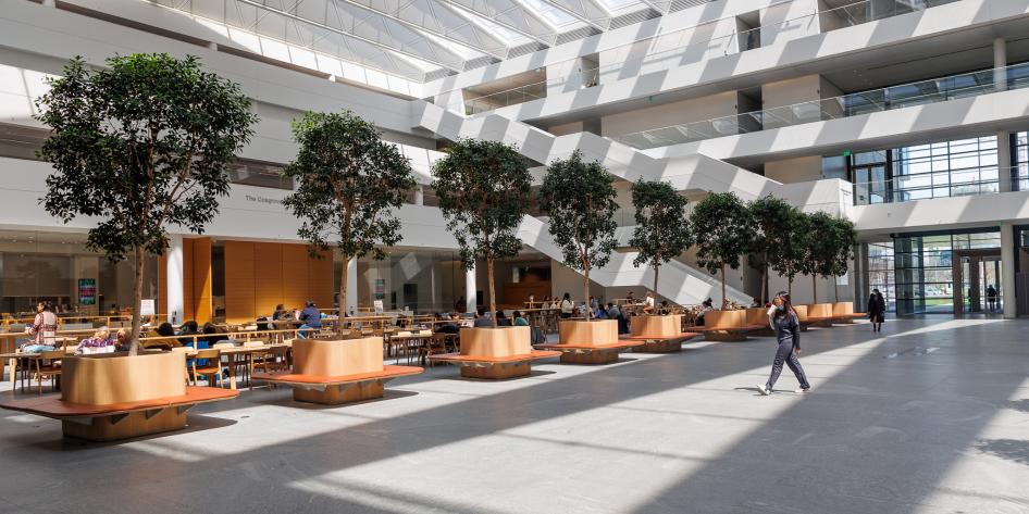 Student walking across the courtyard towards tree bench seating