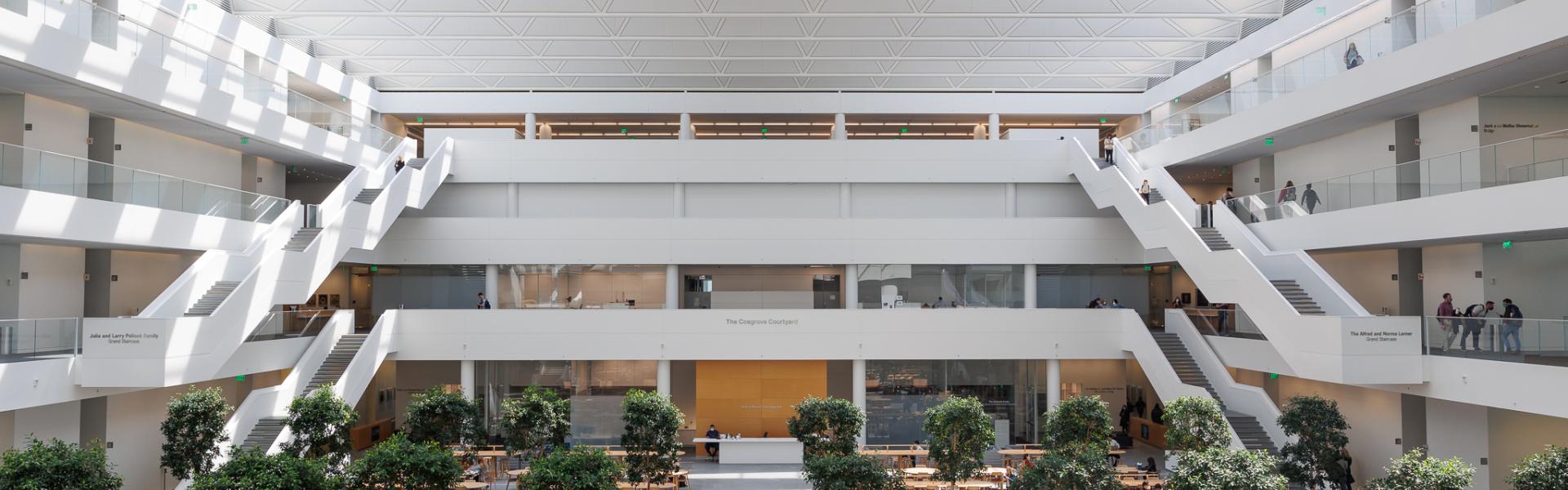 Courtyard with trees, tree benches and dining tables